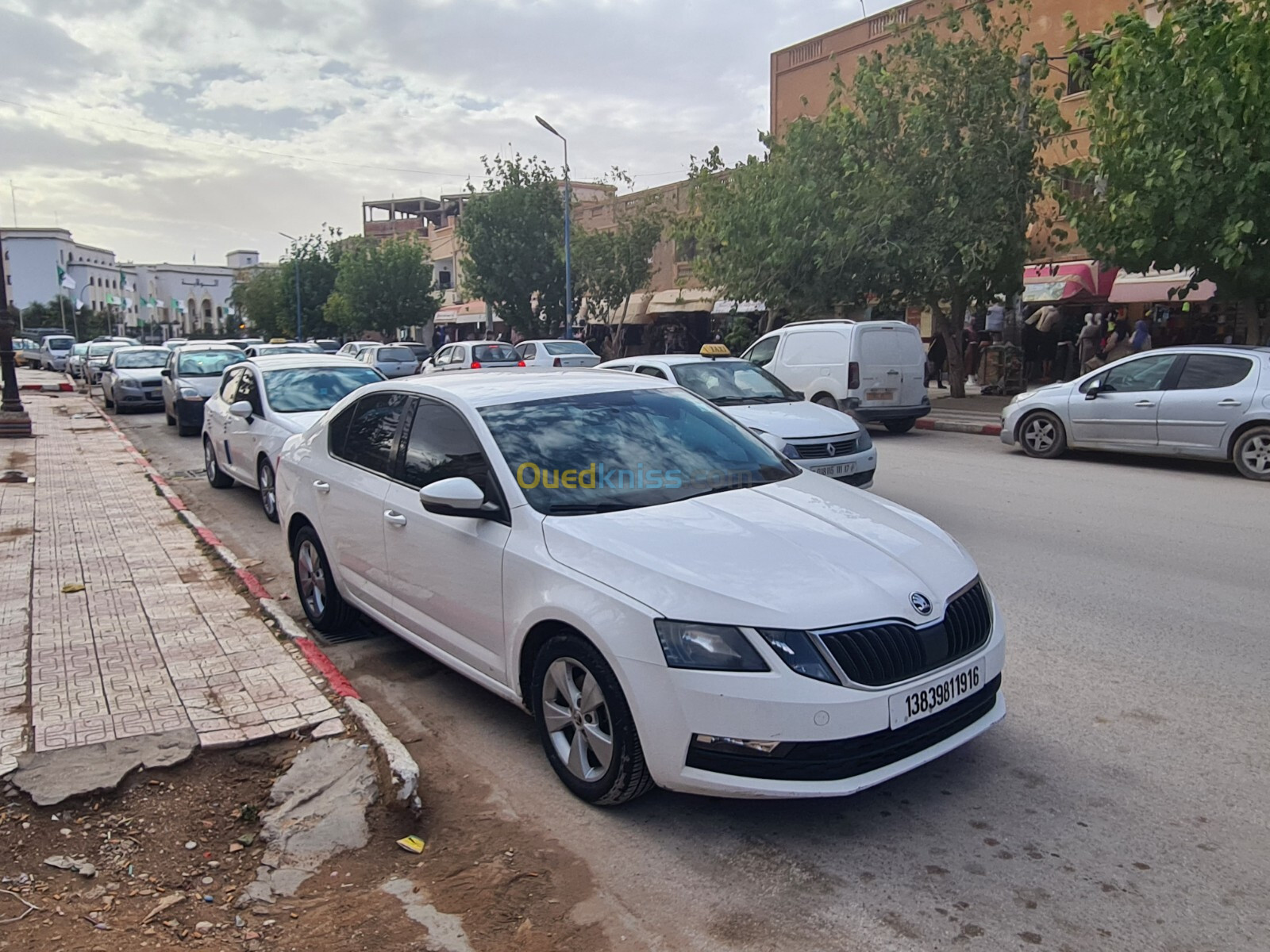 Skoda Octavia 2019 Business