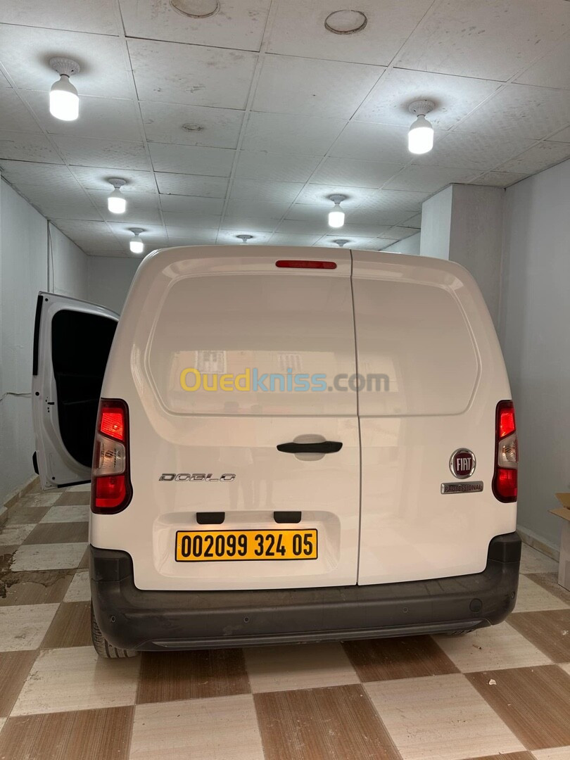 Fiat Professional Doblo 2024 Dz