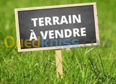 Vente Terrain Tlemcen Ain fezza