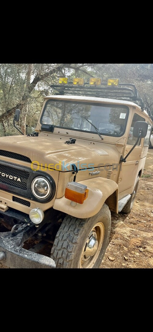 Toyota Land Cruiser 1975 Court