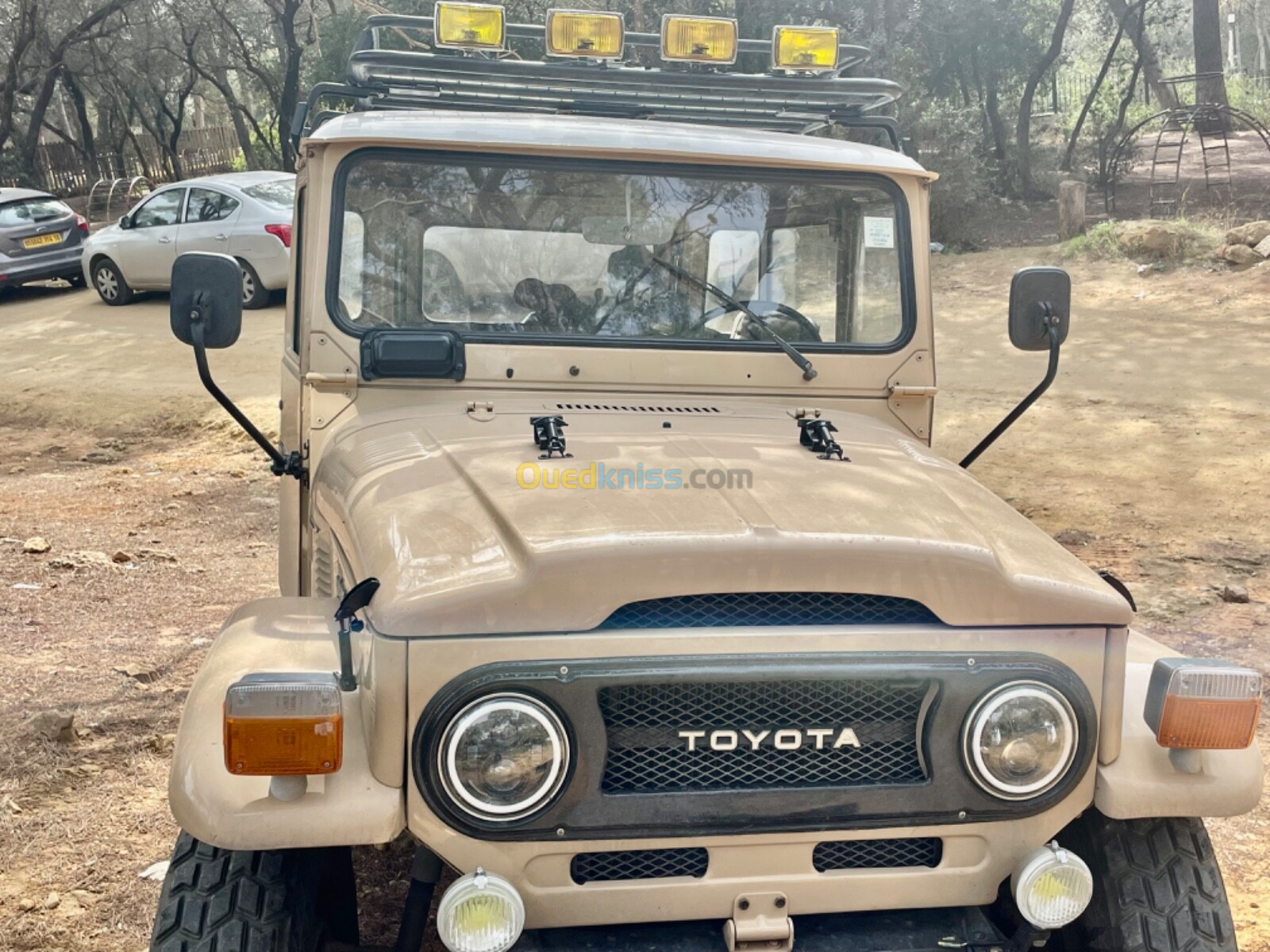 Toyota Land Cruiser 1975 Court