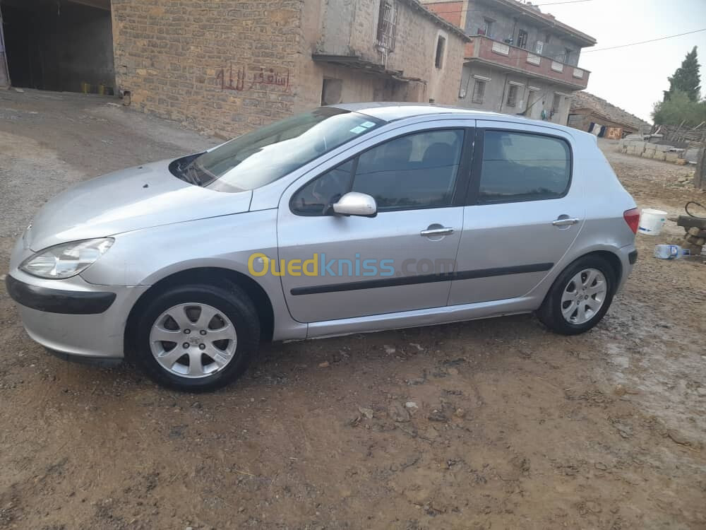 Peugeot 307 2002 XT