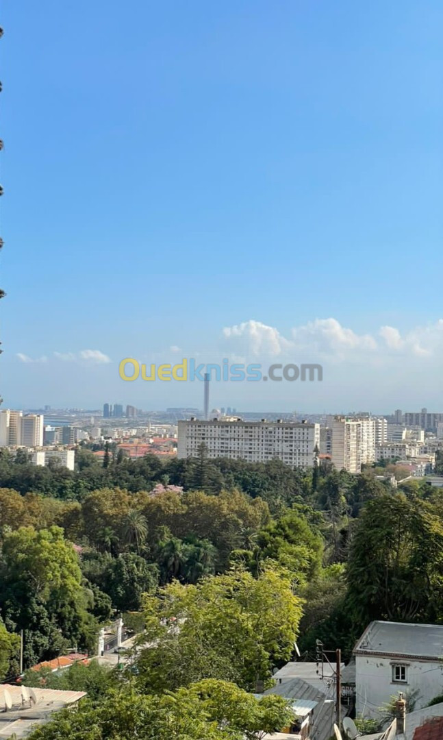 Vente Appartement F3 Alger Alger centre