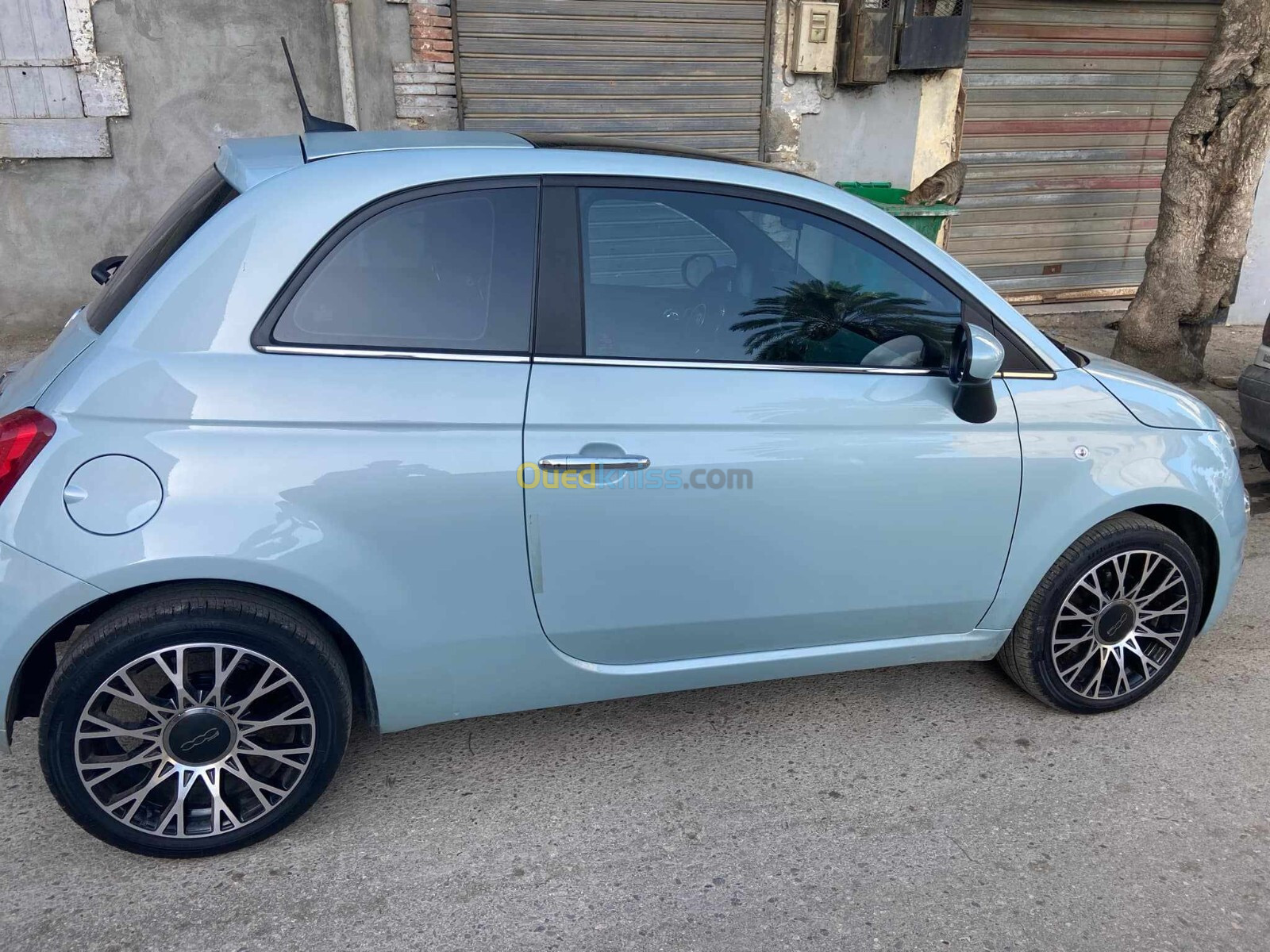 Fiat 500 2024 fiat 500