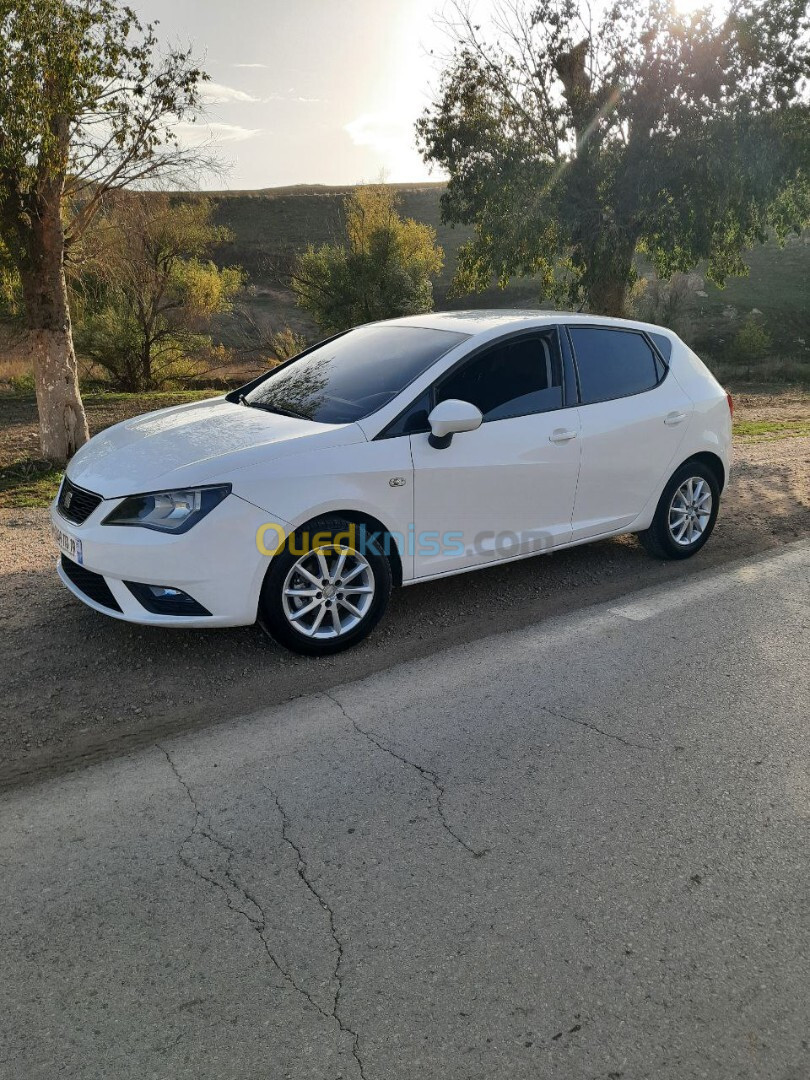 Seat Ibiza 2013 Fully