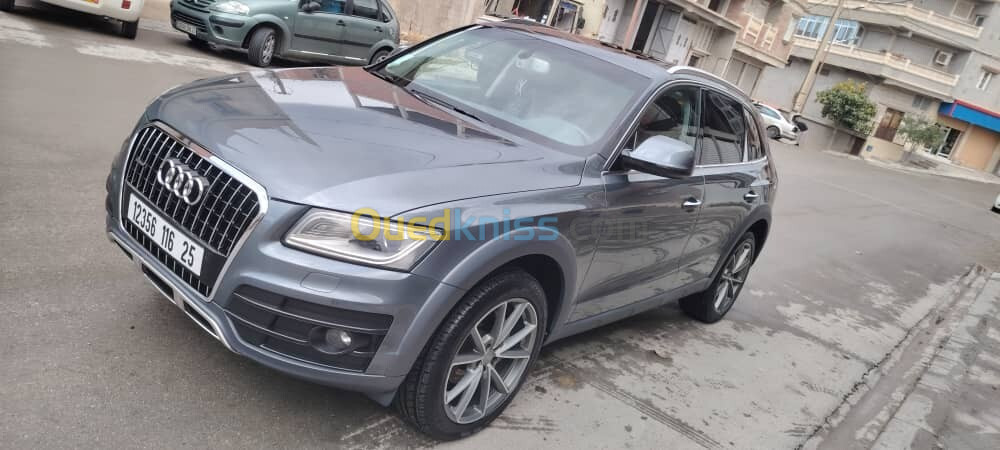 Audi Q5 2016 Offroad