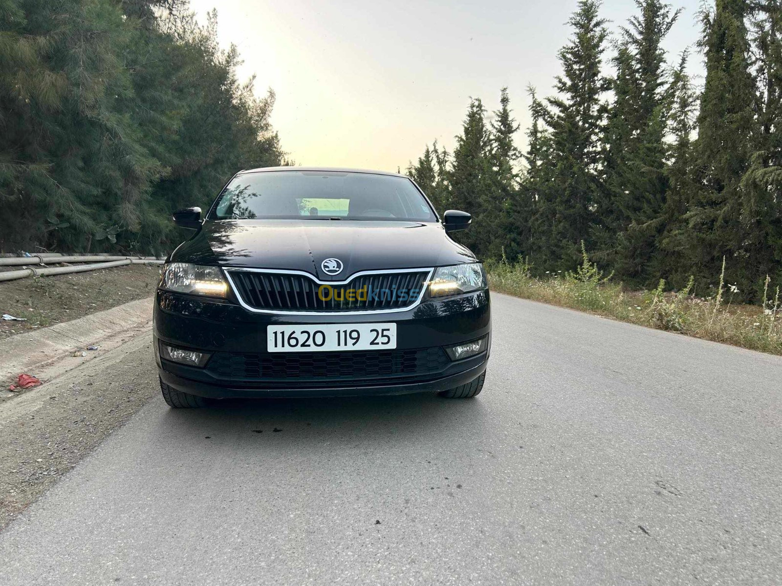 Skoda Rapid 2019 Edition