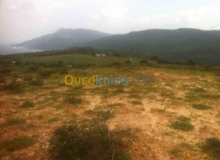 Vente Terrain Annaba Chetaibi