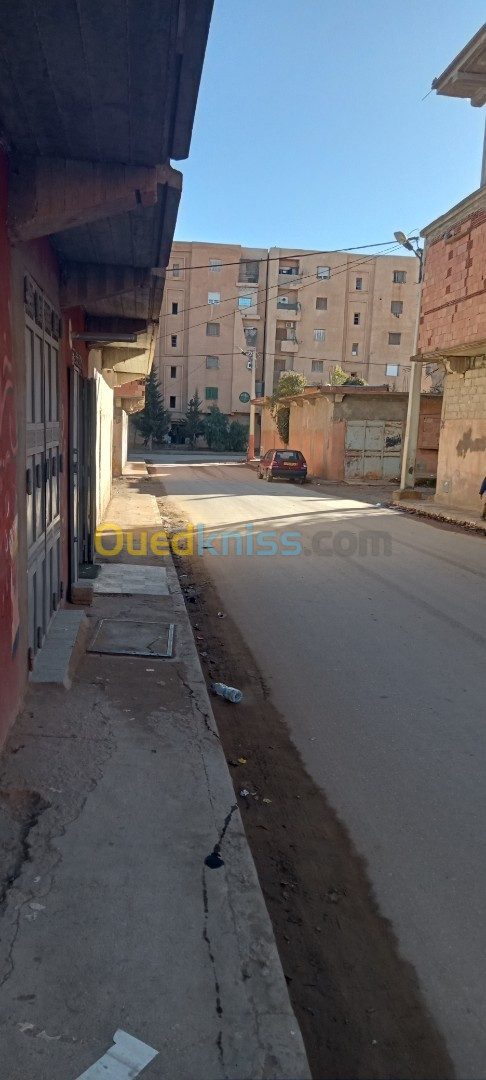 Vente Niveau De Villa F06 Tiaret Sougueur