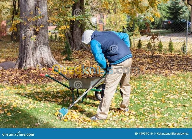 Entretien et nettoyage jardin terrasse 