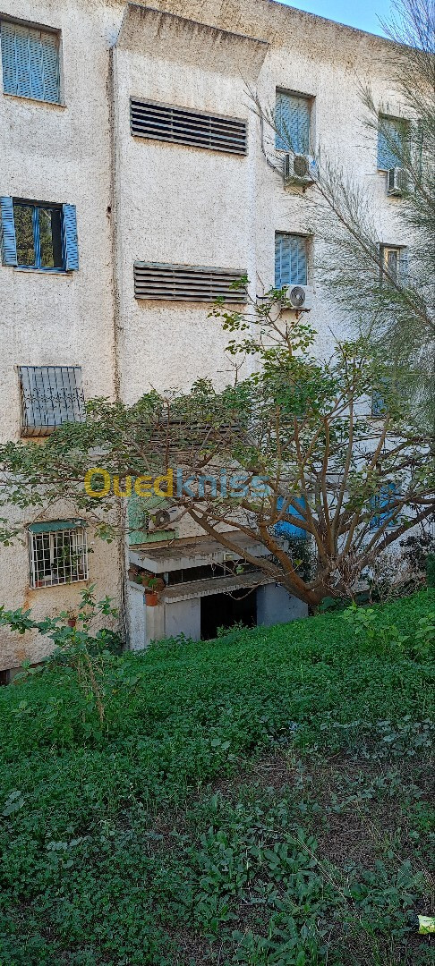 Vente Appartement F2 Alger Kouba