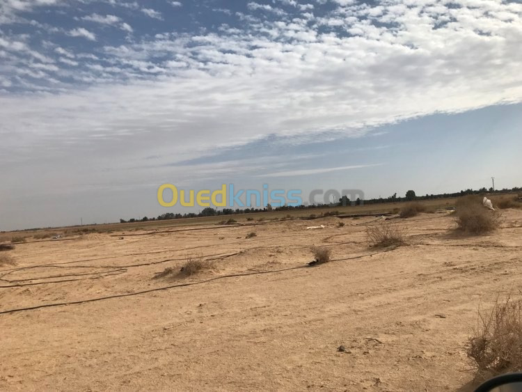 Vente Terrain Agricole Oran Mers El Kébir