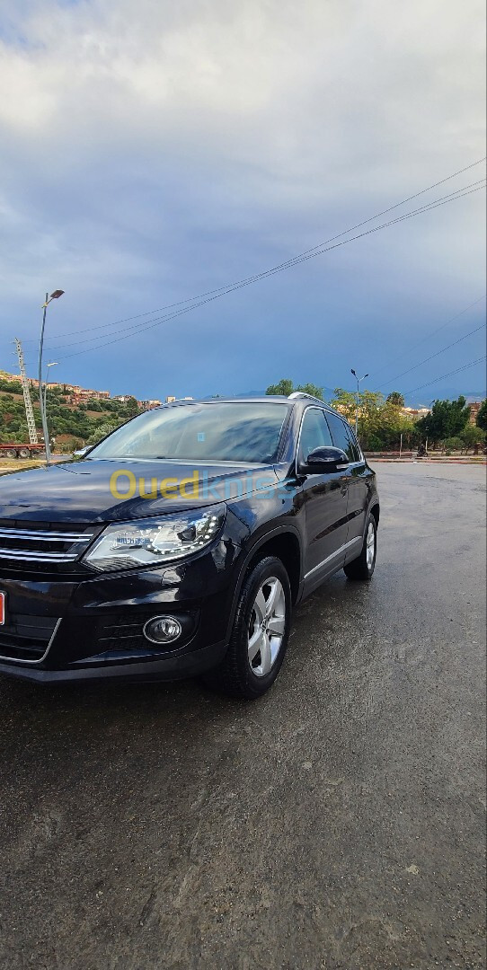 Volkswagen Tiguan 2014 Cup