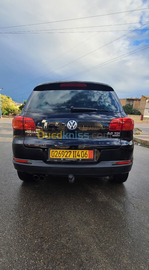 Volkswagen Tiguan 2014 Cup