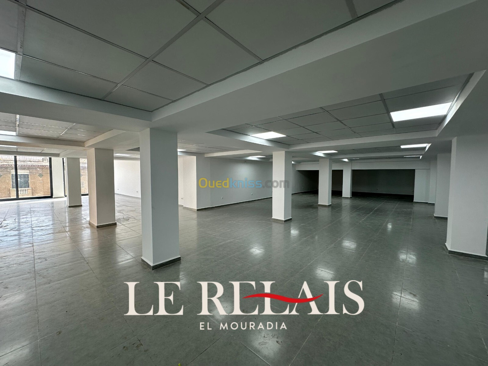 Location Local Alger El mouradia