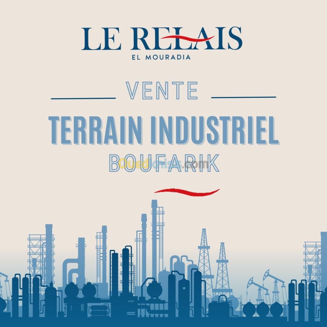 Vente Terrain Blida Boufarik