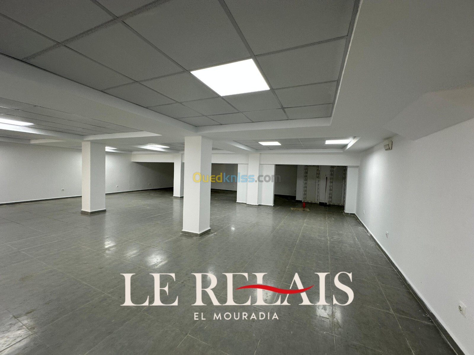 Location Local Alger El mouradia