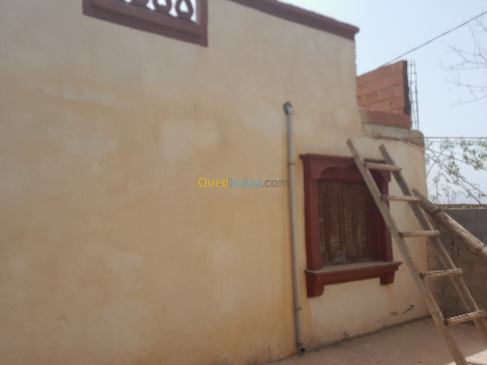 Vente Bungalow Tlemcen Marsa ben mhidi