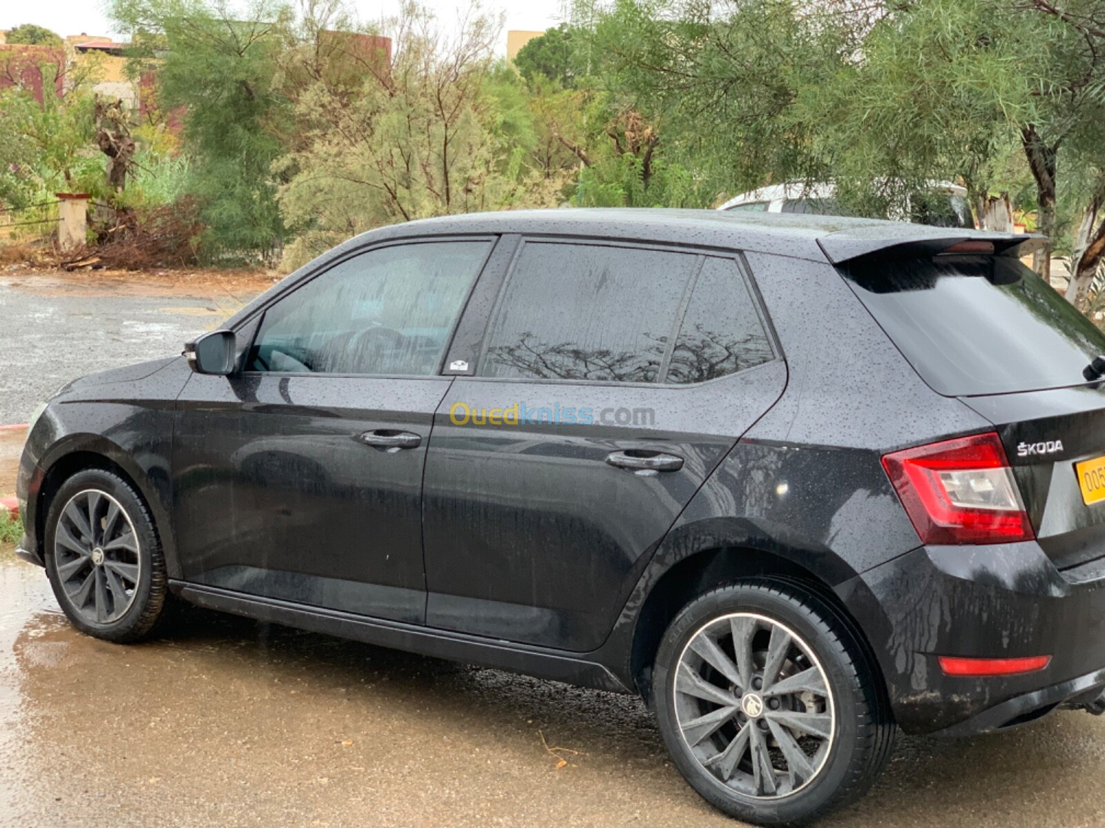 Skoda Fabia 2020 Monte Carlo