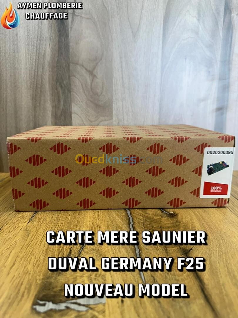 CARTE MERE SAUNIER DUVAL GERMANY F25 NOUVEAU MODEL 