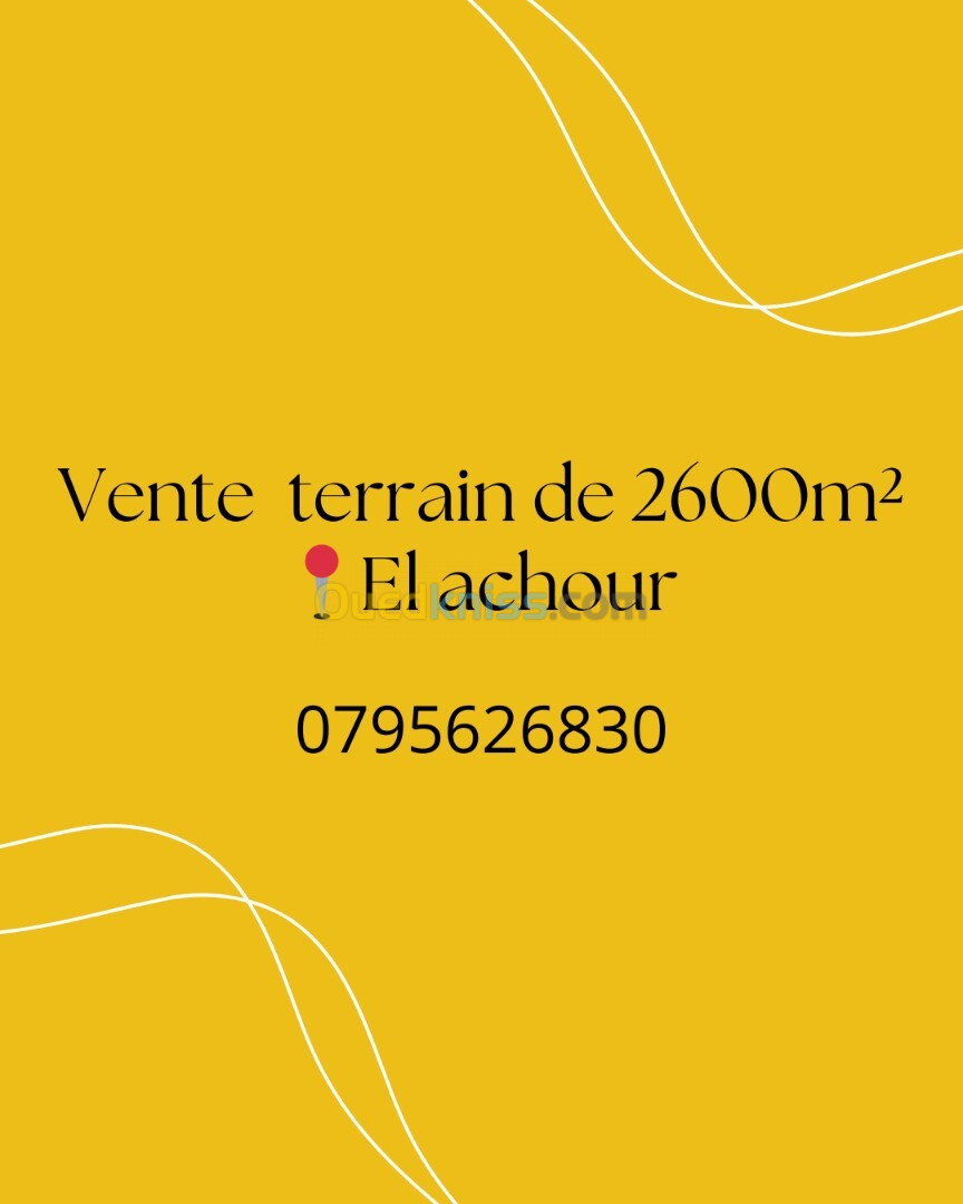 Vente Terrain Alger El achour