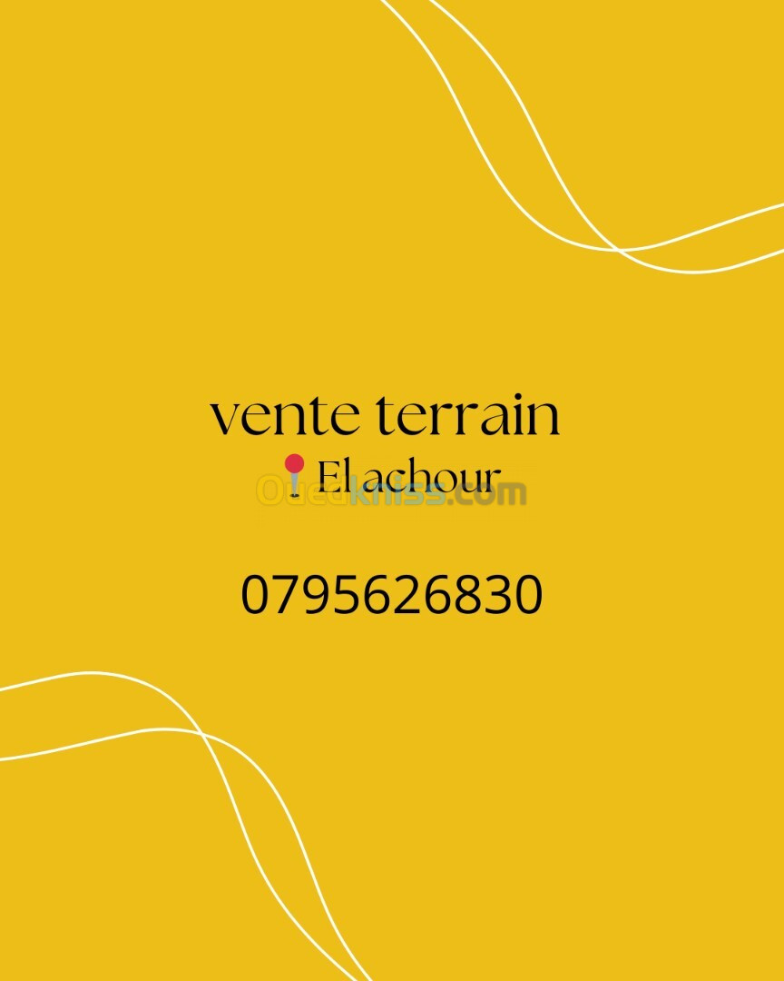 Vente Terrain Alger El achour