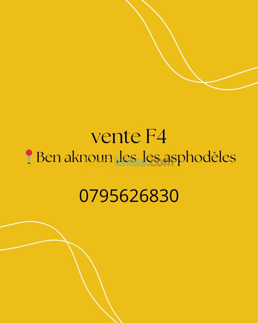 Vente Appartement F4 Alger Ben aknoun