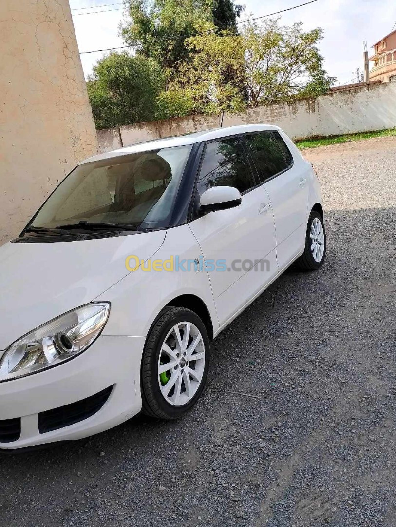 Skoda Fabia 2014 Visage