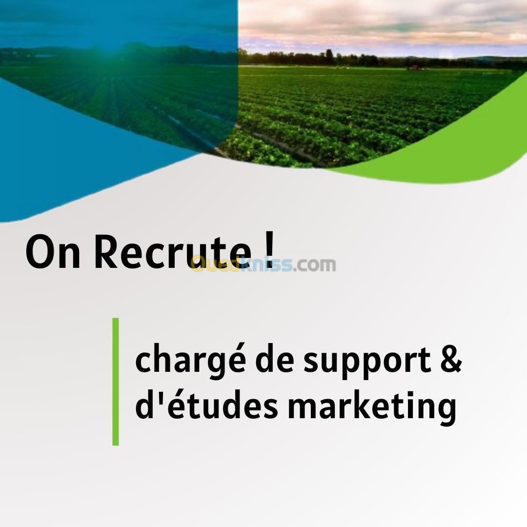 chargé de support et d'études marketing 