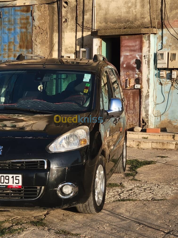 Peugeot Partner 2009 Tepee