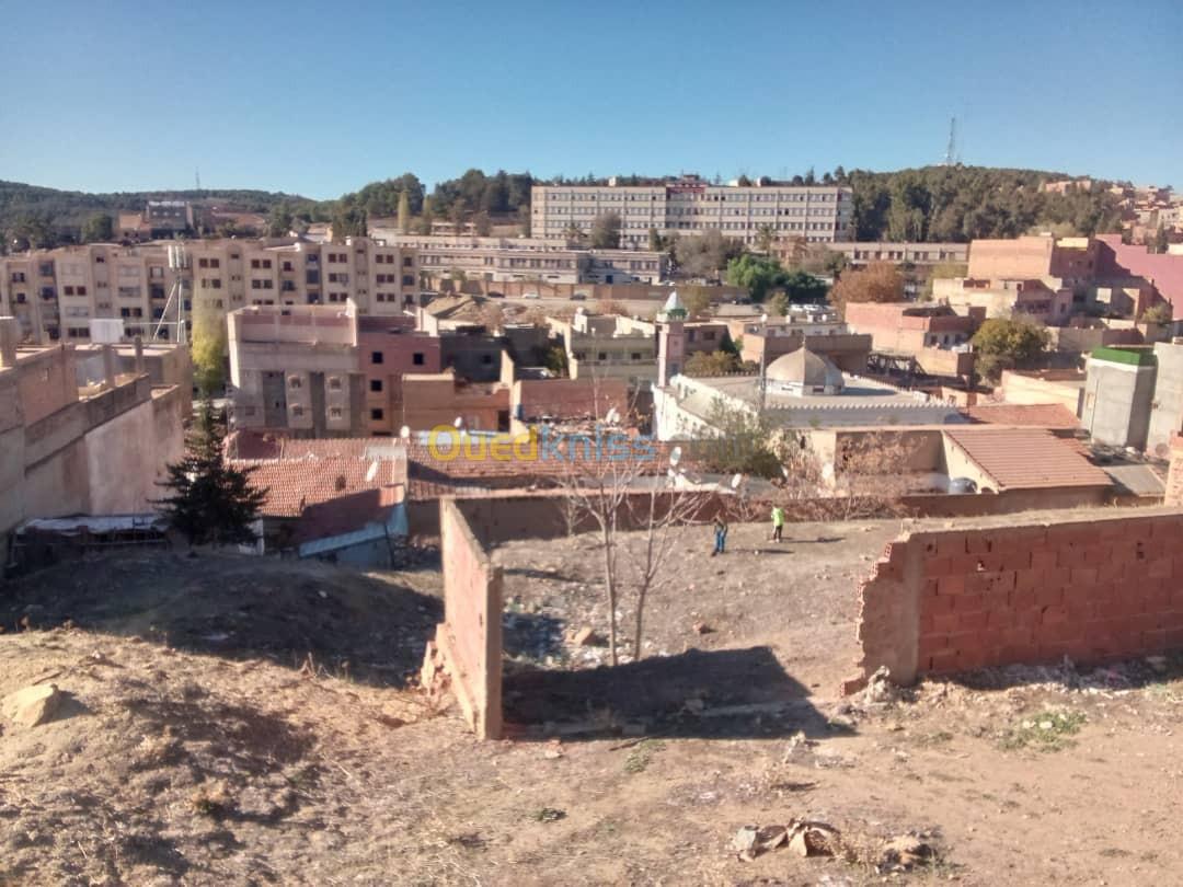 Vente Terrain Tiaret Tiaret