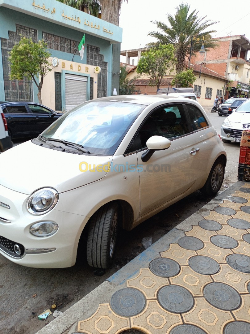 Fiat 500 2024 500