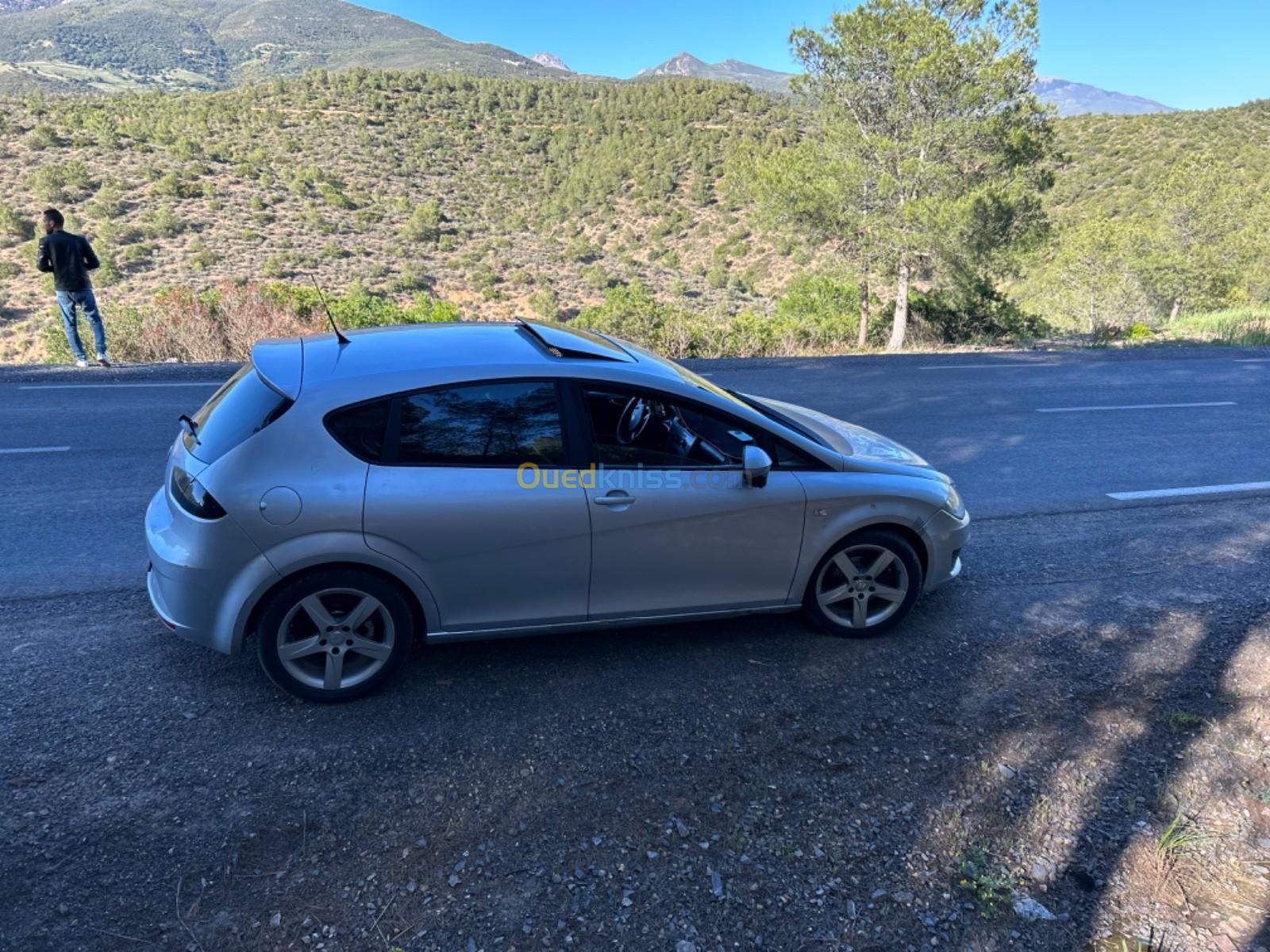 Seat Leon 2010 