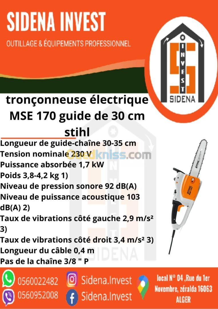 stihl tronçonneuse electrique mse 170 cuide de 30 CM