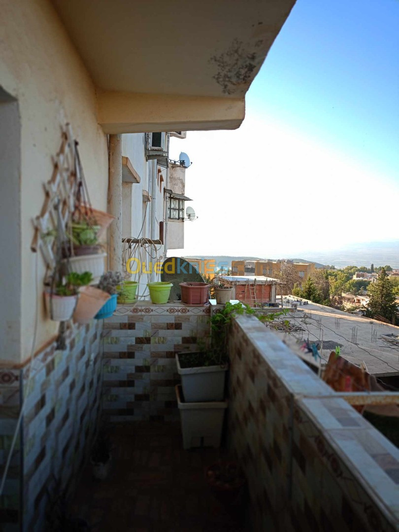 Vente Appartement F4 Ain defla Miliana