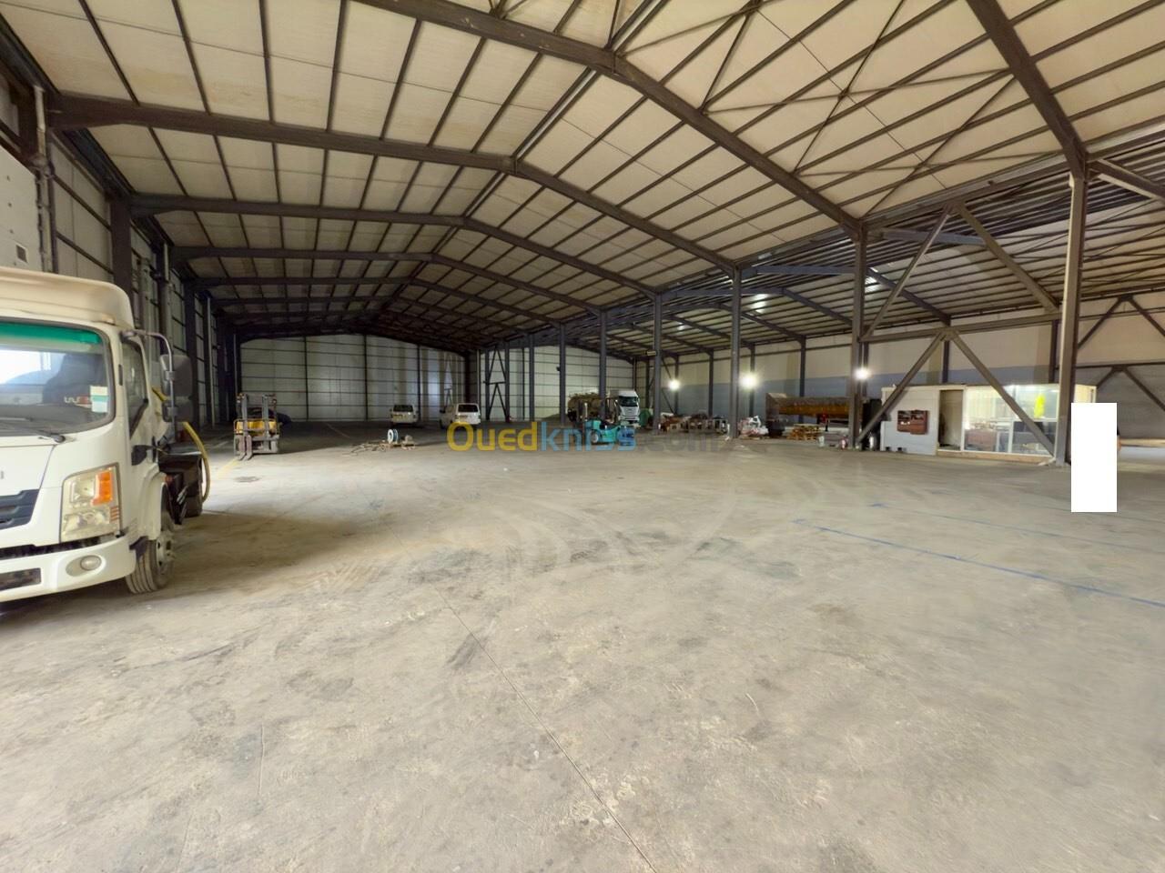 Location Hangar Tipaza Kolea