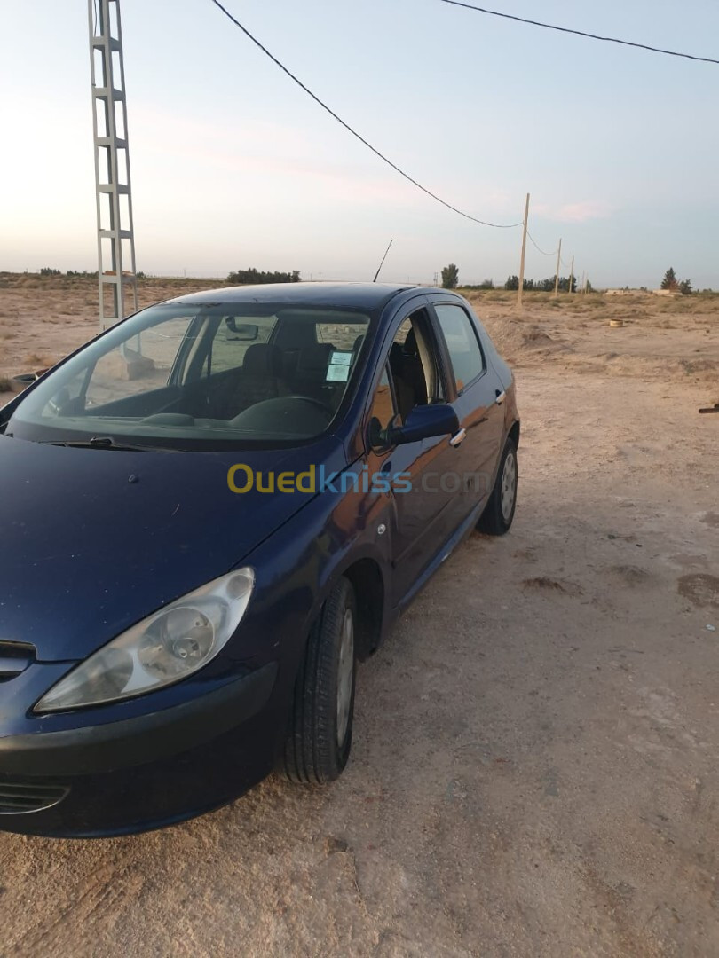 Peugeot 307 2003 307