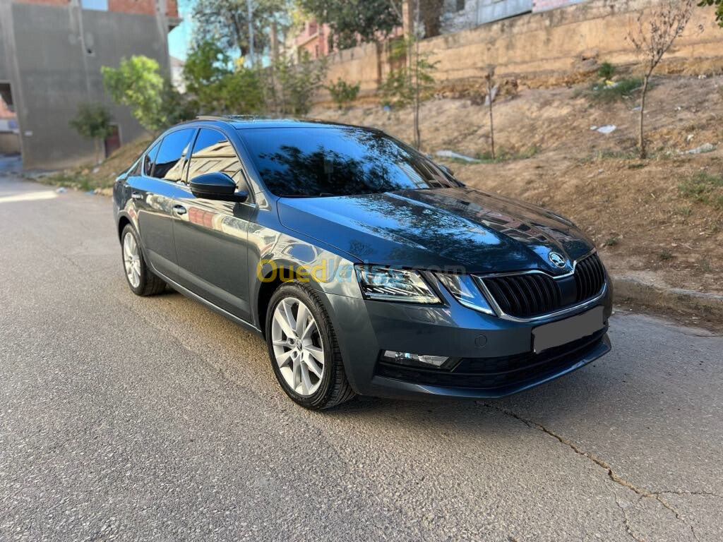 Skoda Octavia 2019 Clever