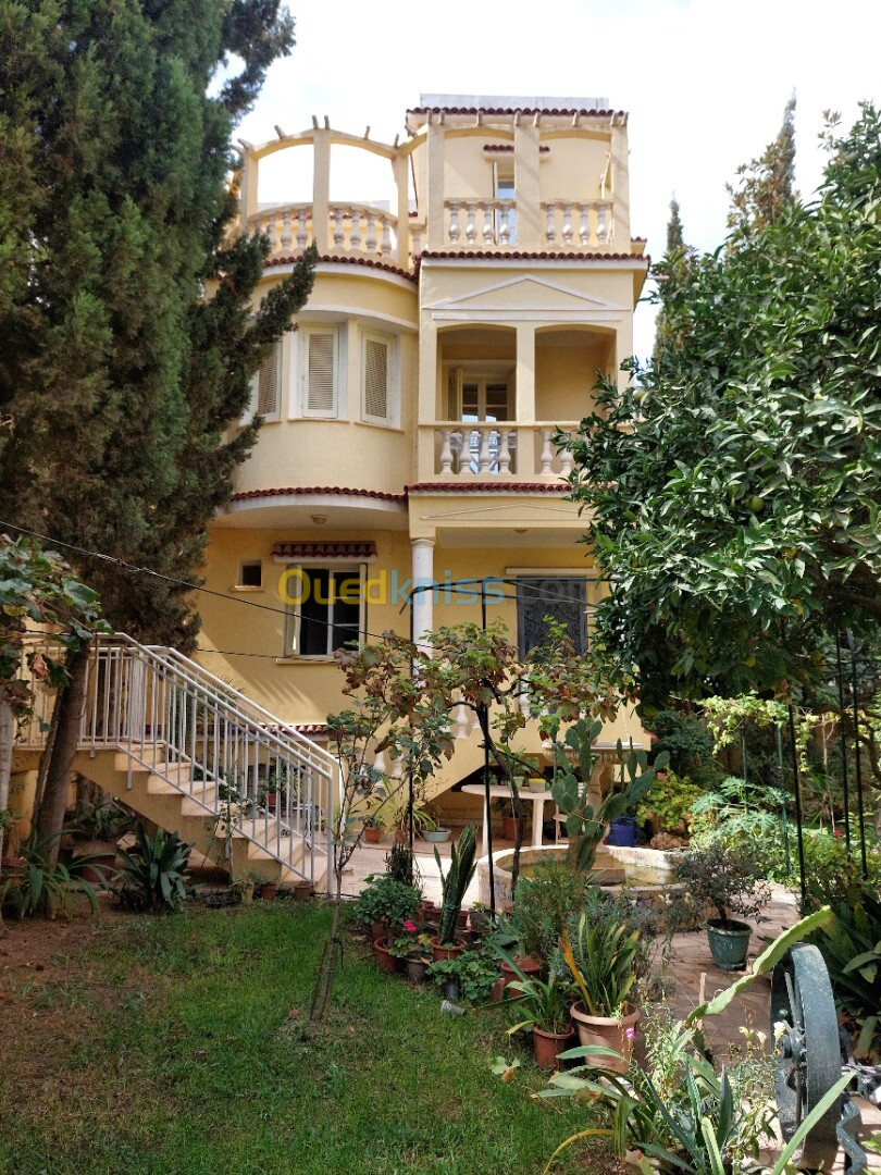 Vente Villa Alger Dely brahim