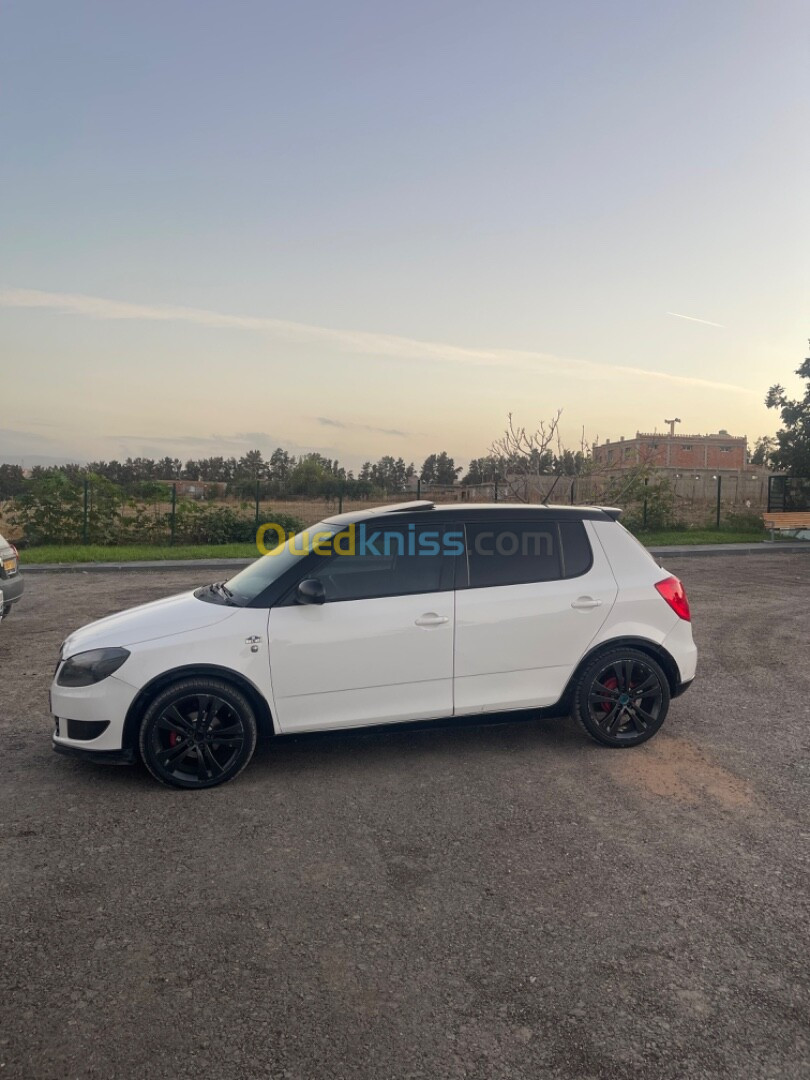 Skoda Fabia 2013 Monte carlo