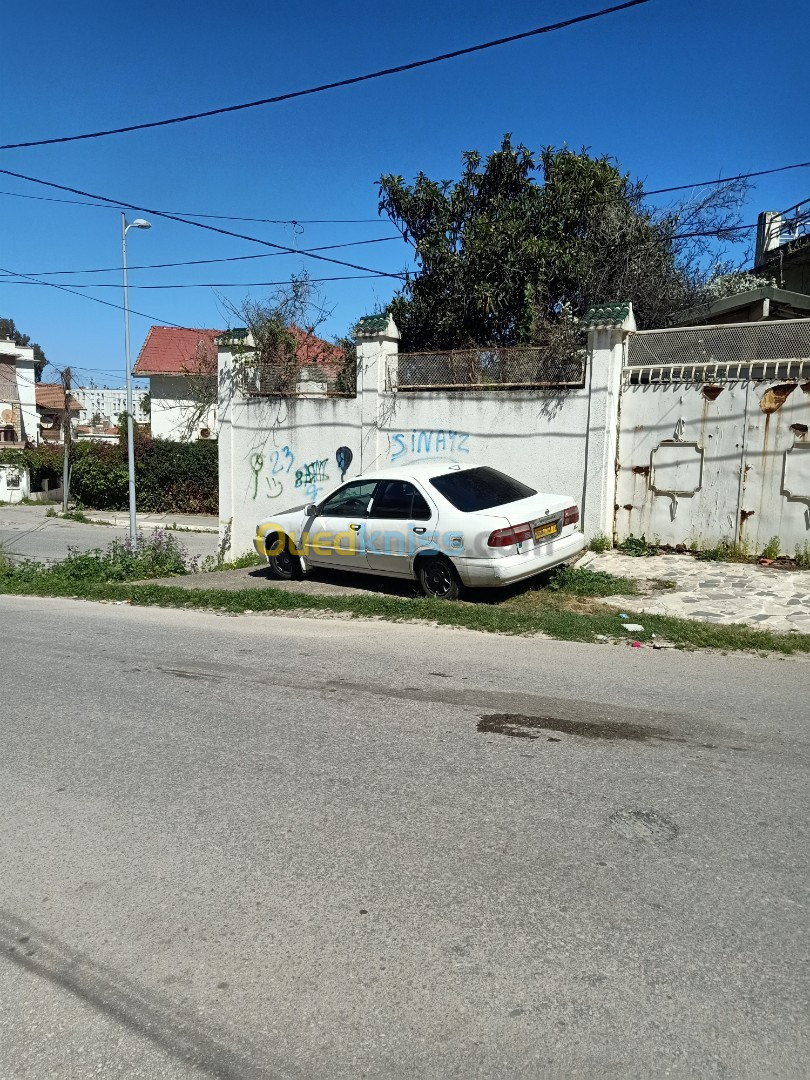 Nissan Sunny 2002 Sunny