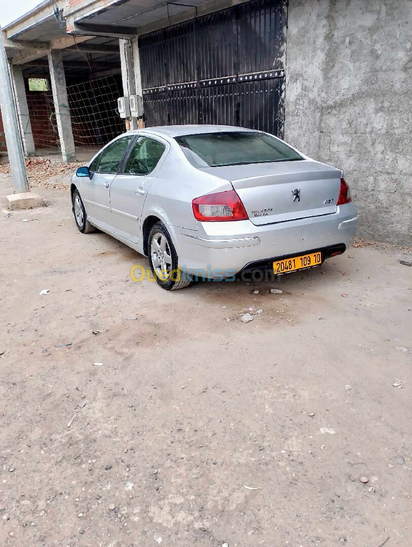 Peugeot 407 2009 407