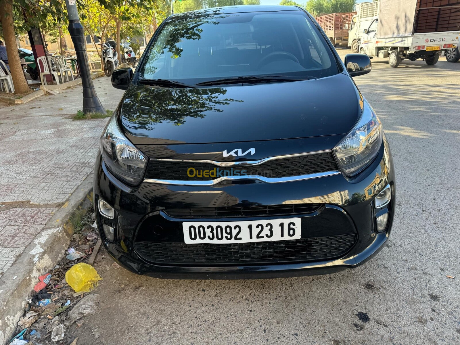 Kia Picanto 2023 Picanto