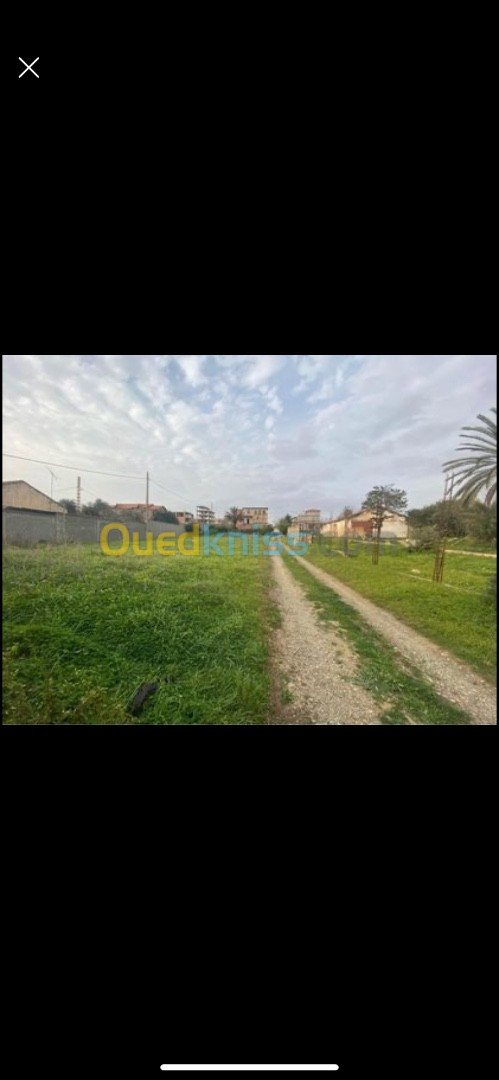 Vente Terrain Alger Douera