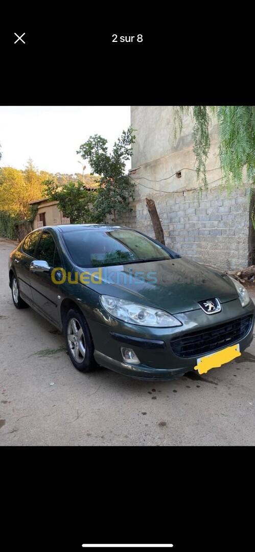 Peugeot 407 2009 407