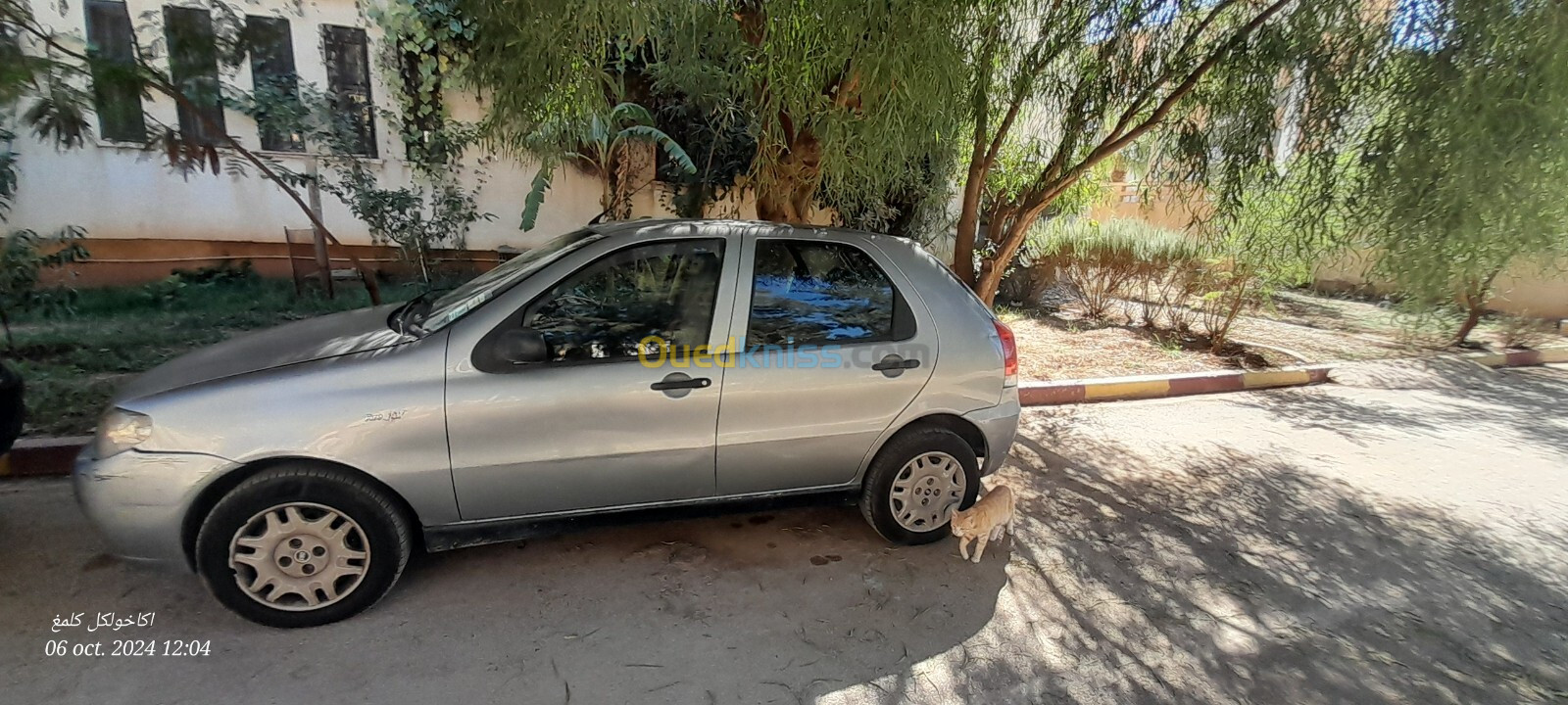 Fiat Palio 2007 Fire