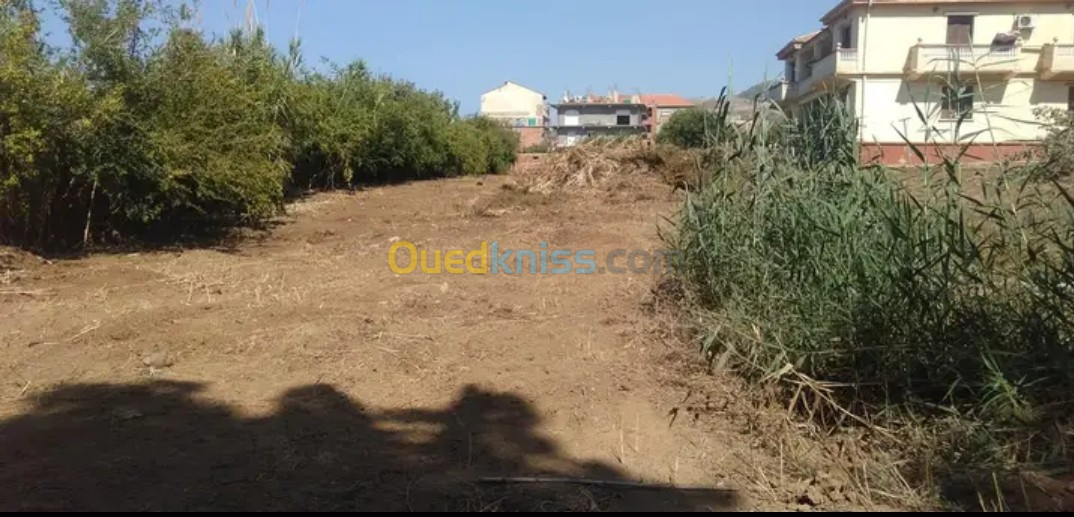 Vente Terrain Tipaza Gouraya