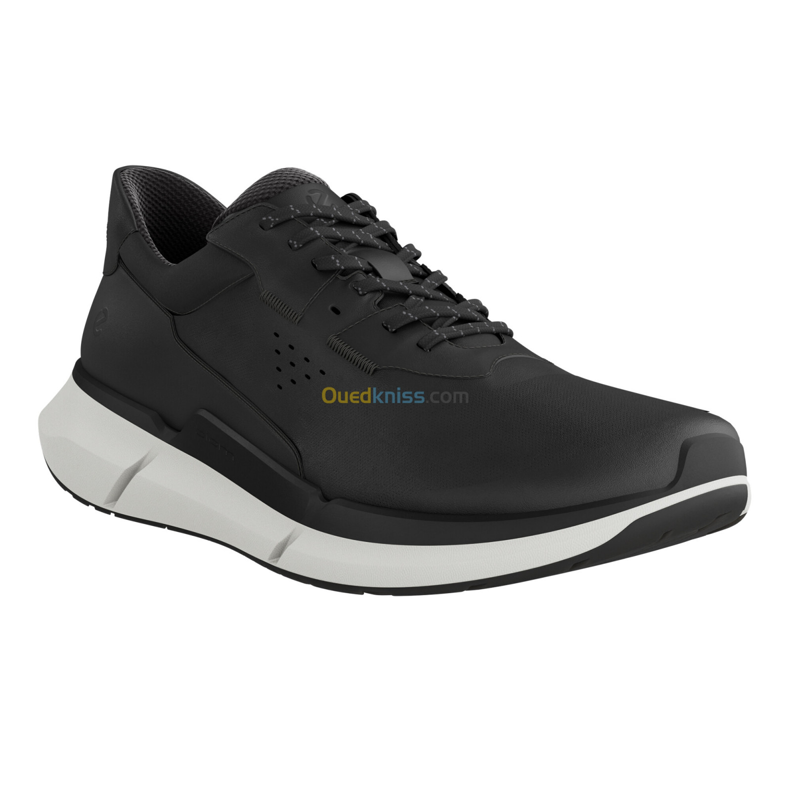 ECCO Biom 2.2 W Black