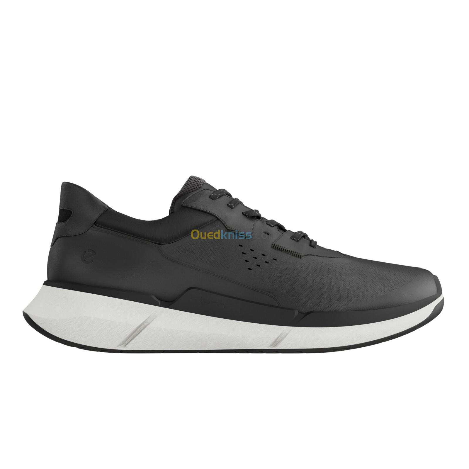 ECCO Biom 2.2 W Black