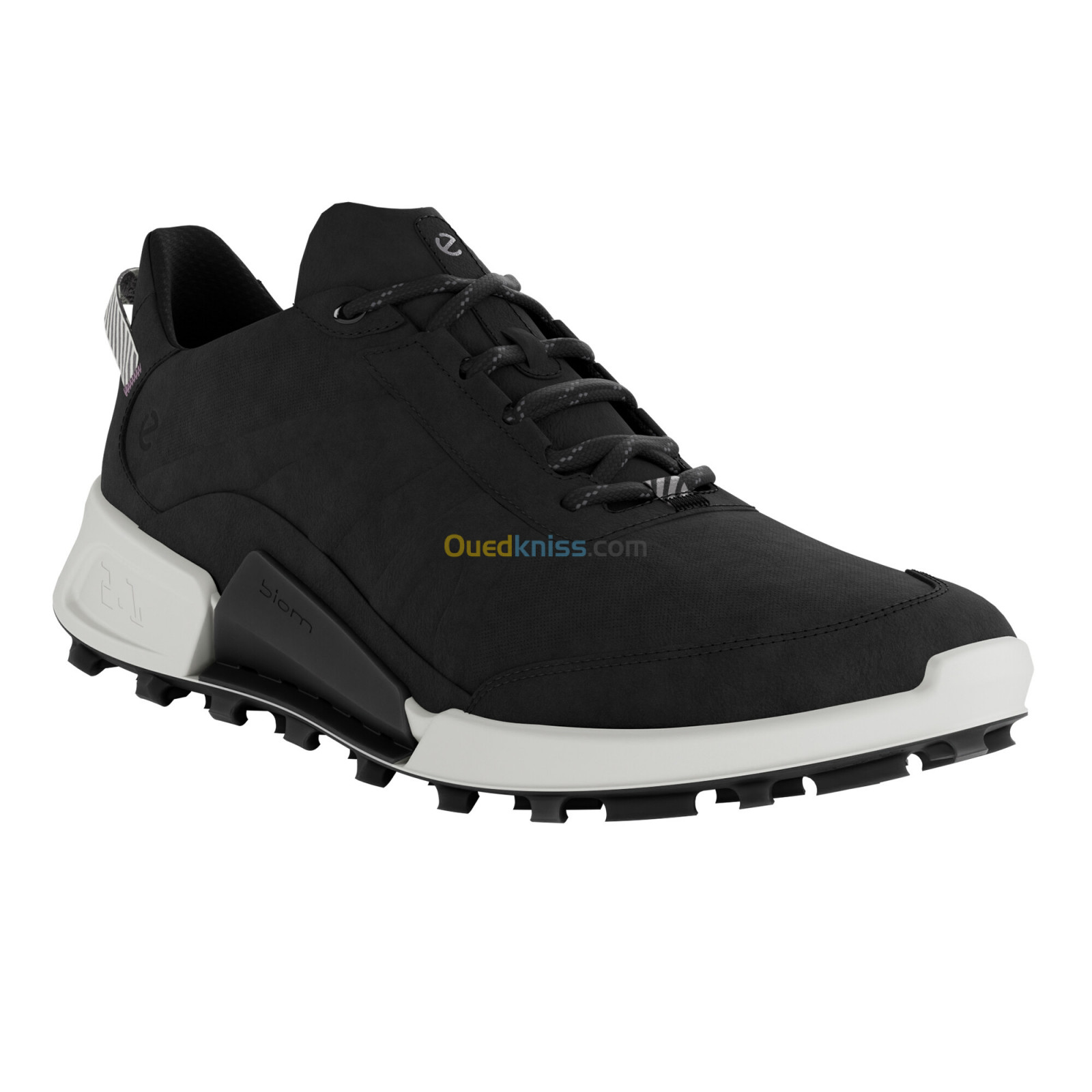 ECCO Biom 2.1 X Mountain W Black